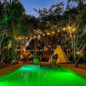 Bufo Alvarius Sanctuary Bacalar Hotel